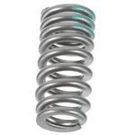 Genuine Ford Valve Springs FC3Z-6513-A New. Price: $9.93.