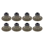 Ford Ranger 1999-2001 Apex Auto AVS4050 Valve Stem Seal Set New. Price: $29.49.