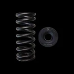 Brian Crower Honda L15B7 Spring & Steel Retainer Kit BC0088S For Engine New. Price: $299.00.