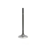Engine Intake Valve-dohc, Code: EZ30D, 24 Valves Dnj IV727 New. Price: $18.81.