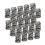 Supertech SPR-H1005D-24 Fits Bmw M50/M52/S50/S52 Dual Valve Spring Set Of New. Price: $338.99.