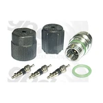 Gpd A/c System Valve Core And Cap Kit 1311422 New. Price: $13.69.