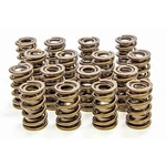 Isky Cams 1.560IN Valve Springs - 9365PLUS New. Price: $443.84.
