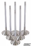 Gsc Power Division 2195-6 Exhaust Valve Set For Toyota G16E-GTS (6-CYL) New. Price: $209.95.