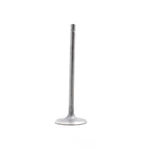 Engine Intake Valve-gas, Dohc, Code: FB20, 16 Valves Dnj IV4345 New. Price: $13.77.
