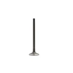 Dnj EV420 Exhaust Valve Fits 2000-2004 Ford Focus 97-02 Escort New. Price: $32.99.
