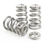 Gsc Single Conical Valve Spring And Ti Retainer Kit For 2008-15 Evo X/ralliart New. Price: $533.87.
