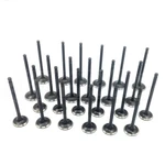Intake & Exhaust Valve Kit For 01-06 XG350 Santa Fe Amanti Sedona Sorento 3.5L New. Price: $34.47.