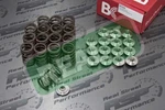 Brian Crower Valve Springs Ti Retainers Silvia 240SX SR20DET BC0200 New. Price: $300.00.