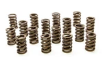 Racing Springs 1.244 Single Valve W/damper (16)- PAC-1200-16 New. Price: $274.67.