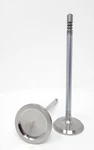 Fits 2005-2010 Ford 4.6L Sohc 24V Vin "H,8" 12 Intake & Exhaust Valves New. Price: $310.00.