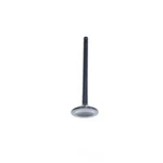 Engine Exhaust Valve-dohc, 16 Valves Dnj EV107 New. Price: $16.74.