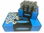 Supertech Single Valve Spring Kit Fits Volkswagen 5CYL 2.5L Cbta SPRK-A2416-5 New. Price: $588.34.