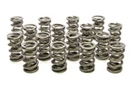 Racing Springs 1.514 Dual Valve (16)- PAC-1332-16 New. Price: $649.47.