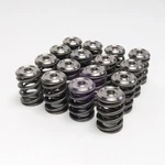 Ferrea 95LBS Dual Valve Springs Titanium Retainers Kit Acura K20A2/A3/Z1 KT4003 New. Price: $1064.03.