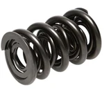 Racing 1200 Series Drag Race Valve Springs PAC-1248-16 New. Price: $465.30.