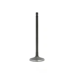 Engine Intake Valve-vin: Y, Dohc, Northstar, 32 Valves Dnj IV3158 New. Price: $17.36.