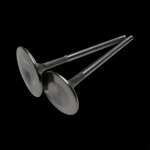 Brian Crower BC3830 Stainless Steel Intake Valves 29MM Std For Can-am X3 New. Price: $120.00.