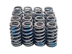 Ford Racing M-6513-M50BR Valve Spring Kit Mustang Boss 302R 5.0L Engine New. Price: $54.95.