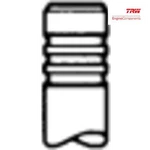 Exhaust Valve Trw Engine Component 291119 For Opel, Saab, Daewoo, Lotus, Cadilla New. Price: $27.23.