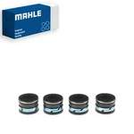 Mahle Eng Valve Stem Oil Seal Set Intake For 78-80 Oldsmobile Cutlass Salon 5.0L New. Price: $20.83.