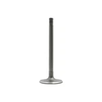 Dnj IV4116 Intake Valve Fits 1989-1995 Ford Taurus 89-95 Thunderbird New. Price: $30.99.