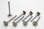 Manley Budget Performance Sbc 2.055IN Intake Valves 10556-8 New. Price: $99.99.
