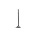 Engine Intake Valve-vin: 1, Dohc, Duratec, 24 Valves Dnj IV412 New. Price: $16.13.