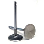 Renegade Intake Valves 573EX-8; Street Performance 8MM 1.593 In. Chevy Ls New. Price: $72.62.