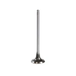 Dnj EV187 Exhaust Valve Fits 2008-2009 Dodge Caliber New. Price: $33.99.
