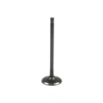 Engine Intake Valve-dohc, 16 Valves Dnj IV193 New. Price: $15.14.