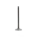 Engine Intake Valve-dohc, 16 Valves Dnj IV489 New. Price: $16.71.