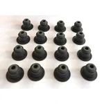 Valve Stem Seal Set German Oem Corteco (2 Per Car) For Bmw 545I 550I /650I 750I New. Price: $36.98.