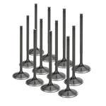 Supertech Black Nitrided Intake Valve For Nissan VR30DDTT- Set Of 16 New. Price: $346.13.