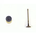 Dnj EV928 Engine Exhaust Valve New. Price: $18.99.