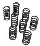 Empi 4040 Single High-rev Valve Springs, Set Of 8, Fits Air Cooled Vw Buggy New. Price: $50.95.