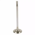 Genuine Ford Engine Exhaust Valve CR3Z-6505-A New. Price: $44.77.