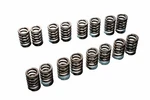 Tomei Valve Spring Set Fits 4B11/G4KF New. Price: $300.00.