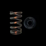 Brian Crower Inc BC0400S Valve Springs New. Price: $195.00.