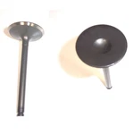 Dnj IV107 Engine Intake Valve New. Price: $13.99.