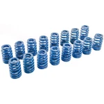Chevrolet Performance 19420455 Valve Spring Kit LS2 / LS3 LS6 Beehive-style 1. New. Price: $101.32.