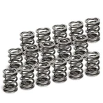 Supertech SPR-H1005D-16 Dual Spring Diam. 29.65/21.85/15.50MM/ Chrome Silicon New. Price: $240.74.
