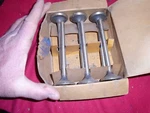 Nos 1934,1935 Gm Valve Set Chevrolet 837317 New. Price: $35.00.