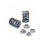 Supertech SPRK-EC3025D-SE Dual Valve Spring And Titanium Retainer Kit New. Price: $374.79.
