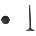 For Subaru Impreza 2004-2009 Dnj Engine Components IV720 Intake Valve New. Price: $11.30.