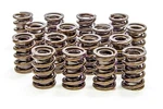 Isky 6105 Dual Valve Spring Set; 1.430 Od New. Price: $263.99.