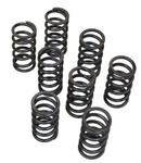 Empi 4040 Vw High-rev. Single Valve Springs, Set Of 8 New. Price: $47.95.