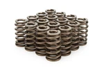 Racing Springs 1.210 Valve Ovate Beehive PAC-1235-16 New. Price: $241.38.
