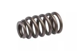 Genuine Gm Engine Valve Spring 12647873 New. Price: $28.96.