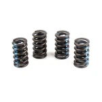 Elgin Valve Spring Set RV-1943XQ4; Single 125 Lbs At 1.750 In. 1.25 Od, 4PCS New. Price: $35.48.
